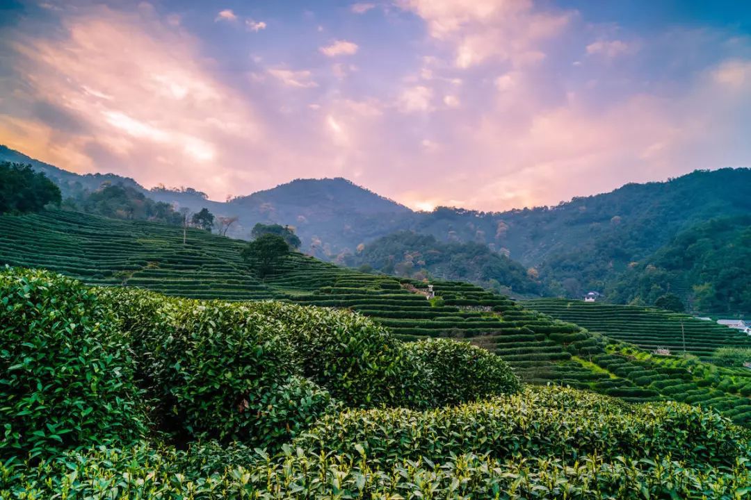 普洱市旅游景点大全