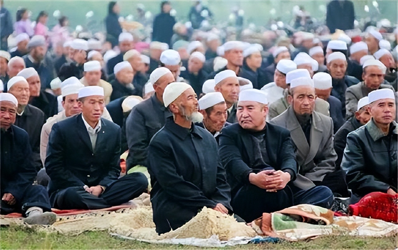 回民为什么不吃猪肉