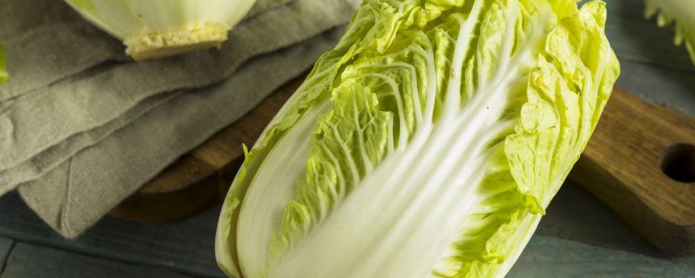 白菜上的小黑点到底是什么 白菜上的小黑点能吃吗 白菜小黑点是怎么来的