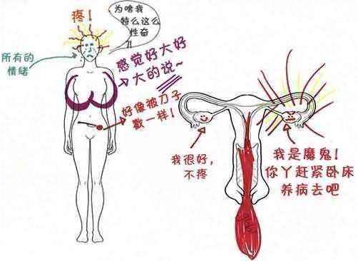 大姨妈是什么意思？为什么叫大姨妈？姨妈红是什么意思