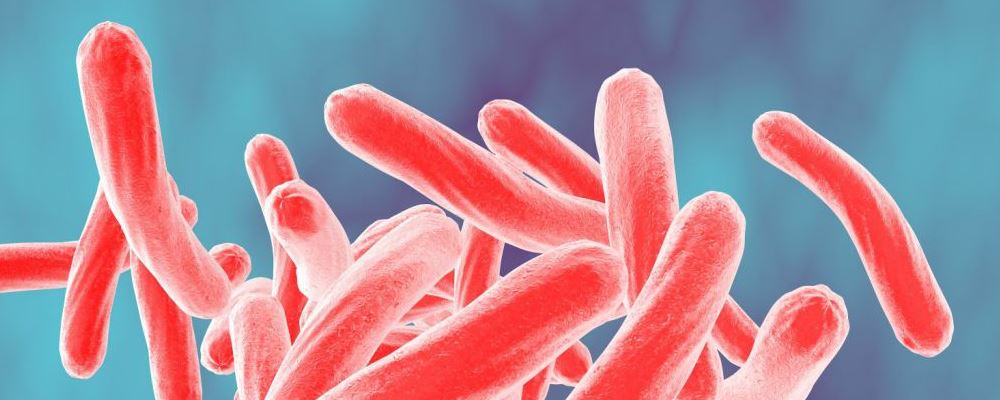 感染了人类乳头瘤病毒怎么办 预防HPV该怎么做 预防人类乳头瘤的方法是什么