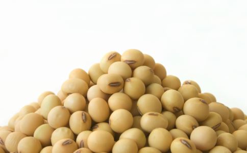 绝经期妇女骨质疏松怎么办 骨质酥松如何饮食调理 绝经期妇女如何补钙