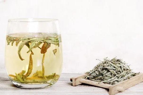 胃不好可以喝白茶吗?白茶能降血糖吗?