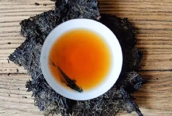 黑茶能不能减肥?黑茶减肥多久可以见效?