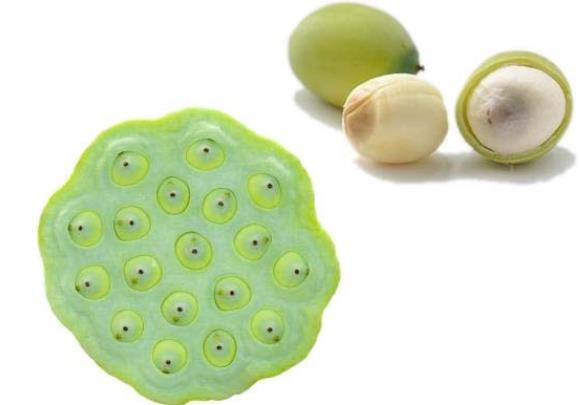 吃莲子要去莲子心吗 胃不好 脾胃虚寒忌吃 因人而异