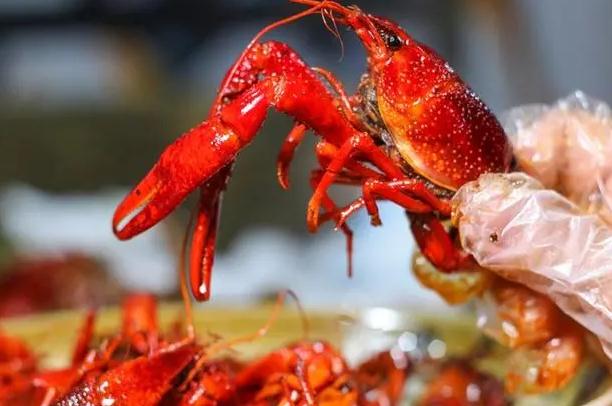 小龙虾煮多久才安全?小龙虾肉质松散的原因有哪些?