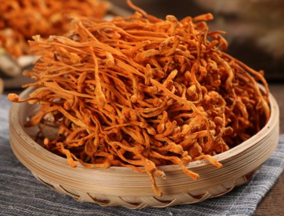 虫草花小孩可以吃吗 适量吃温补提高提高免疫力 忌过量