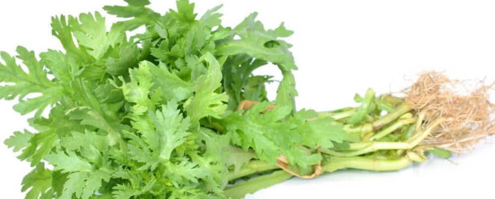 皇帝菜的功效 3大功效不得不知