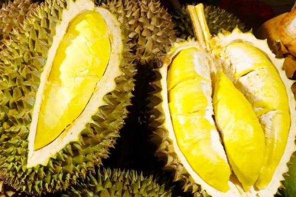 榴莲的营养价值有哪些?榴莲的功效有哪些?