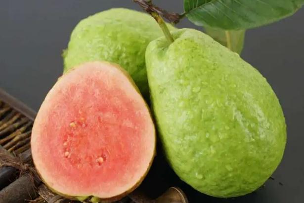 番石榴叶子煮水的功效有哪些?番石榴吃了有什么好处?