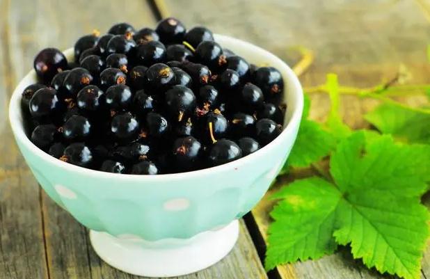 黑加仑怎么吃?黑加仑一次可以吃多少粒?