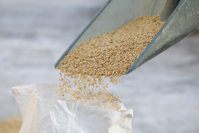 荞麦的膳食纤维含量比苹果高吗?荞麦是高纤维食物吗?甩出大米几条街!