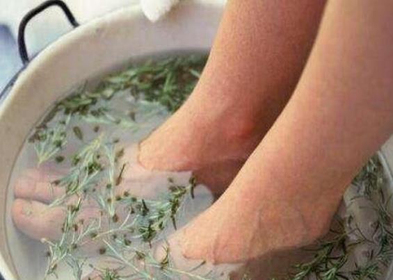 艾叶泡脚能去湿气吗 促进血液循环 加速新陈代谢