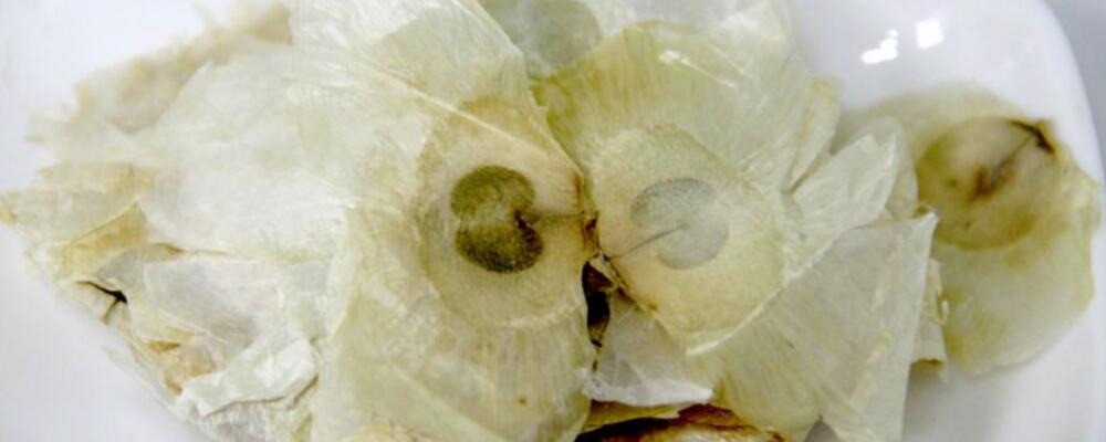 木蝴蝶的功效与作用