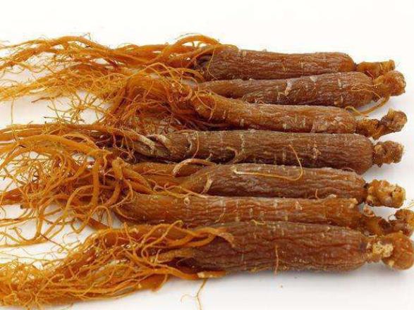 红参泡水喝的禁忌 便秘 阴虚火旺者 青少年 过敏忌吃