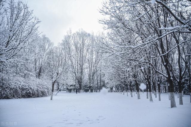 今年冬天会很冷吗?冬天很冷怎么度过?
