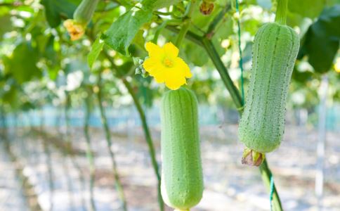 清明后如何养生 清明后养生有什么方法 清明养生吃什么