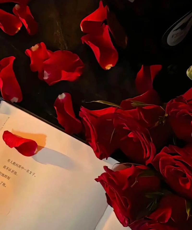 gmc保姆之星保姆中心 gmc保姆之星保姆中心