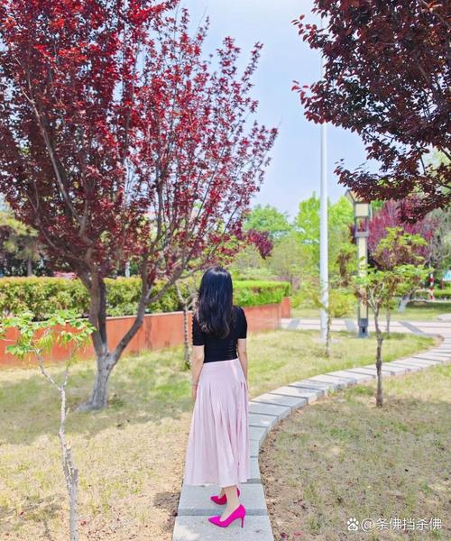 抹香鲸大战大王乌贼