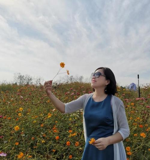 龙门镖局剧情_龙门镖局剧情详解