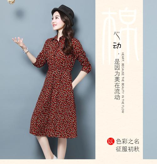 家政维修服务热线如何查找