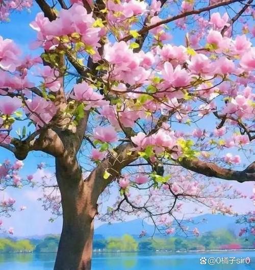 钟点工小时工兼职南宁 钟点工小时工兼职南宁