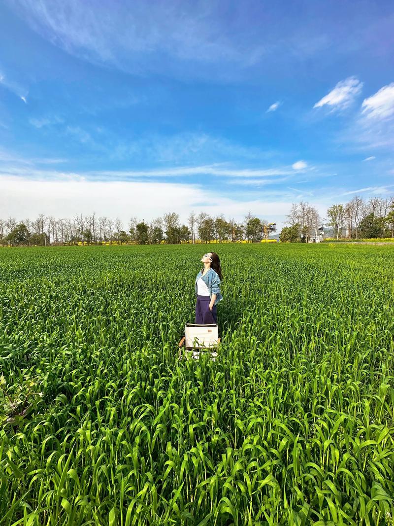 夏日解暑:吃西瓜的八大禁忌 夏日解暑:吃西瓜的八大禁忌