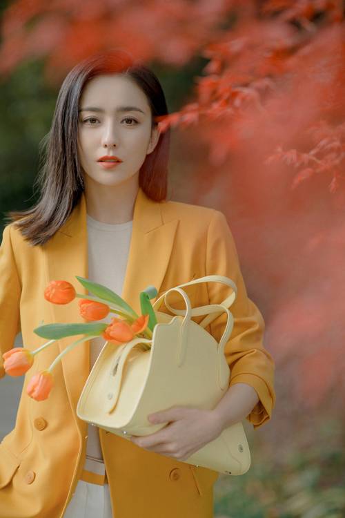 保姆招聘报名 保姆人才招聘 保姆招聘报名 保姆人才招聘