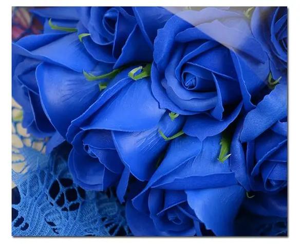 林甸住家保姆_林甸住家保姆招聘