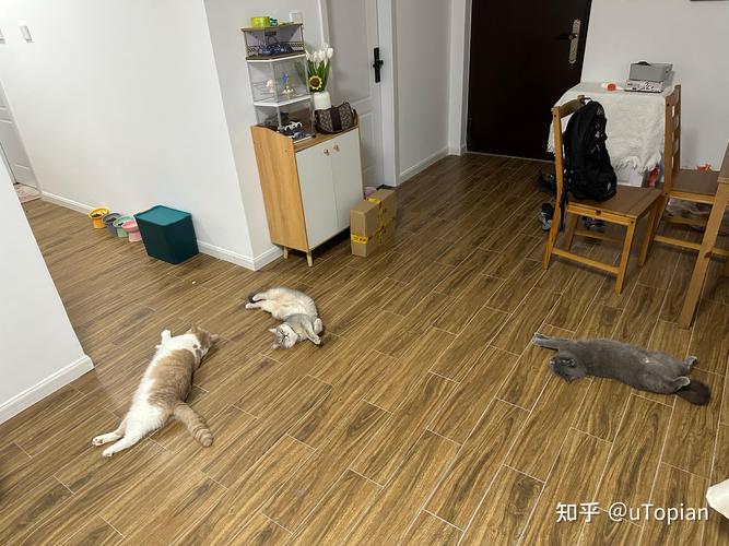 上海海域整装 上海海域整装