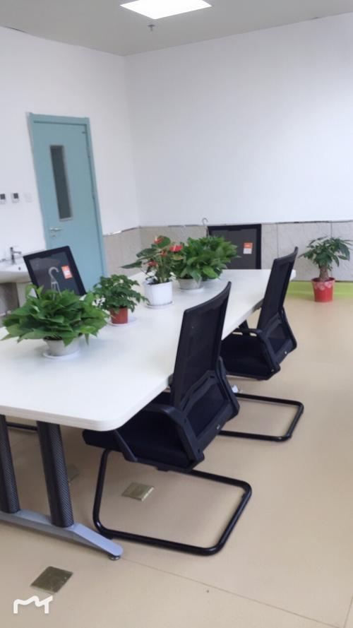 迈克尔杰克逊梦幻庄园 迈克尔杰克逊梦幻庄园