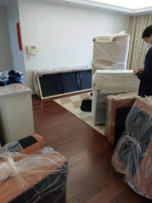 鹦鹉驮保姆 鹦鹉怎么抱