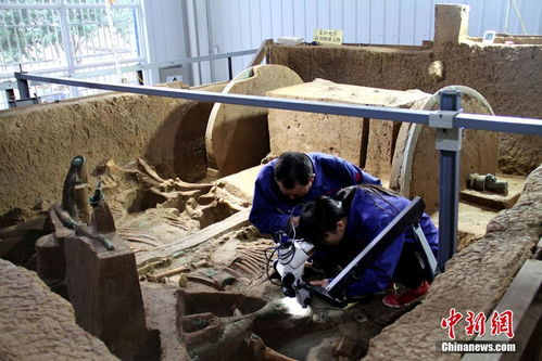 大庆搬家公司哪家服务最好 大庆搬家公司哪家服务最好