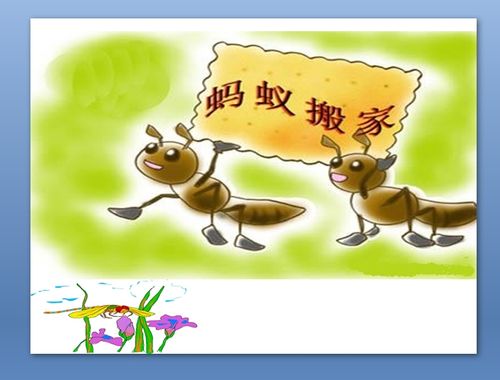 古风歌曲歌词 古风歌曲歌词