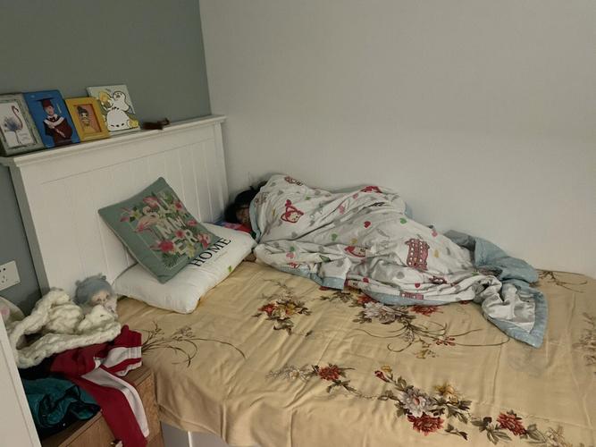 上海一般搬家费用多少