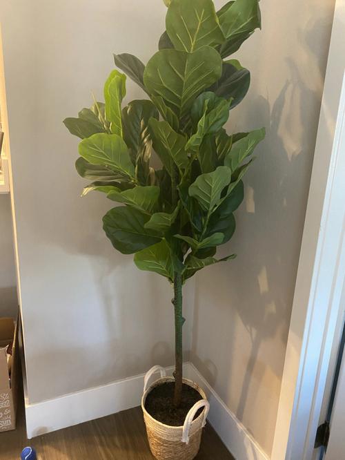 搬家要多少钱一般