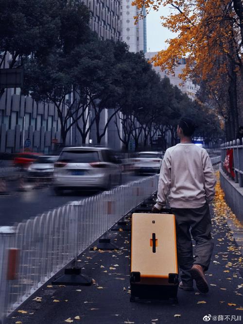 蓝海豹搬家公司