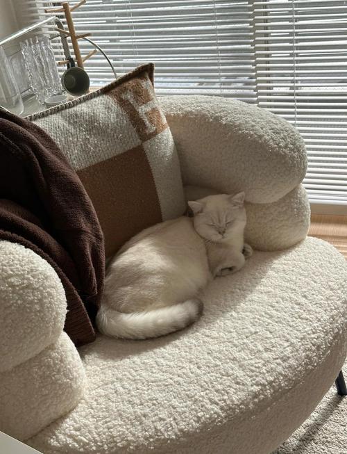 山东四通搬家有限公司