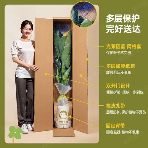 搬家5月吉日查询 搬家5月吉日查询