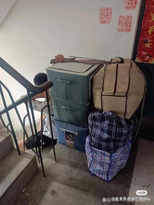 处女座和哪个星座最配 处女座和哪个星座最配