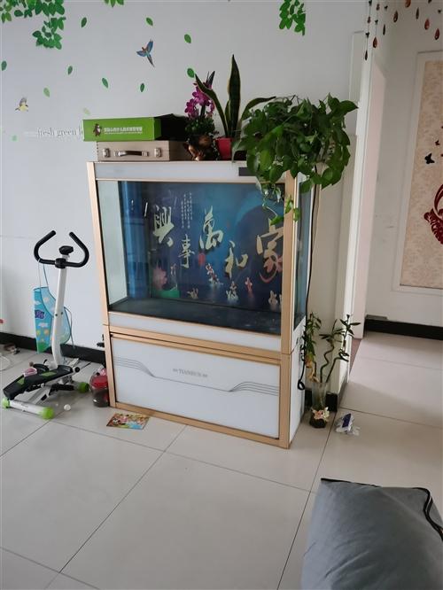 搬家开火哪天日子好