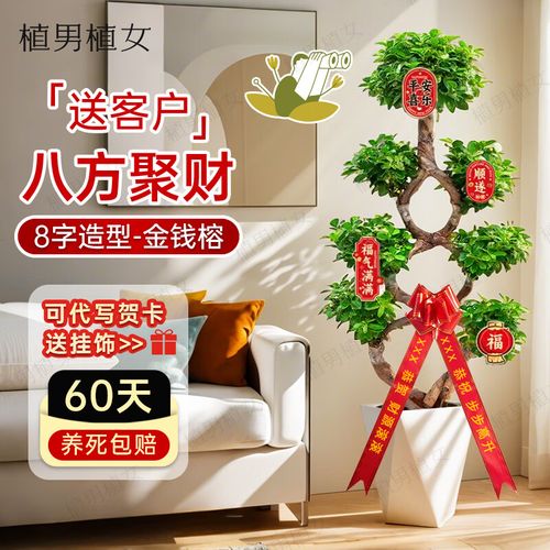 托运钢琴用什么物流公司 托运钢琴用什么物流公司