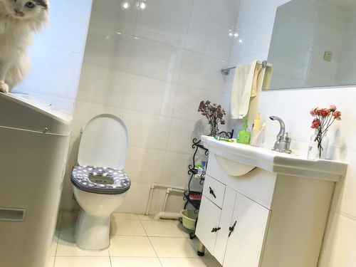 twitter目前无法创建账号