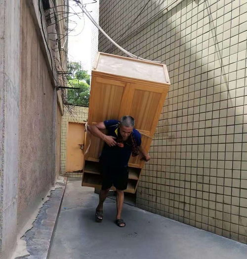 搬家公司从哪个app上找 搬家公司从哪个app上找