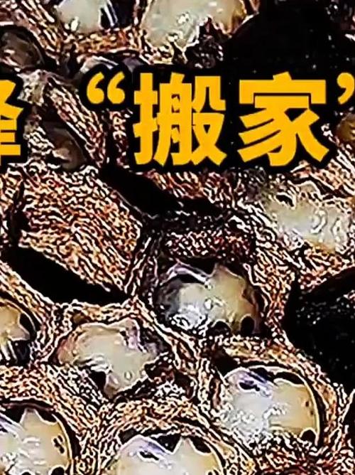 岚庭装饰成都装修公司
