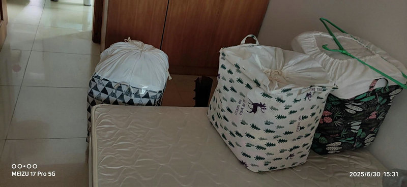 2025年12月属鼠乔迁最旺日子