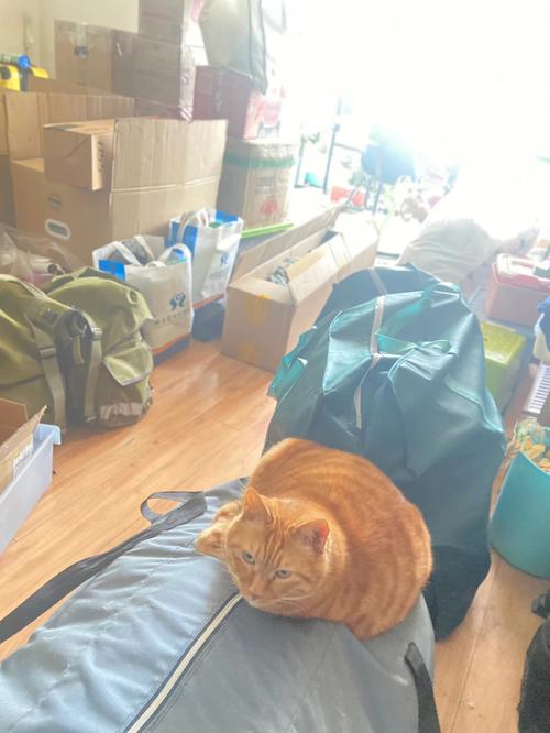 全包圆家装999靠谱吗