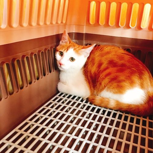 北京京城利康搬家服务有限公司