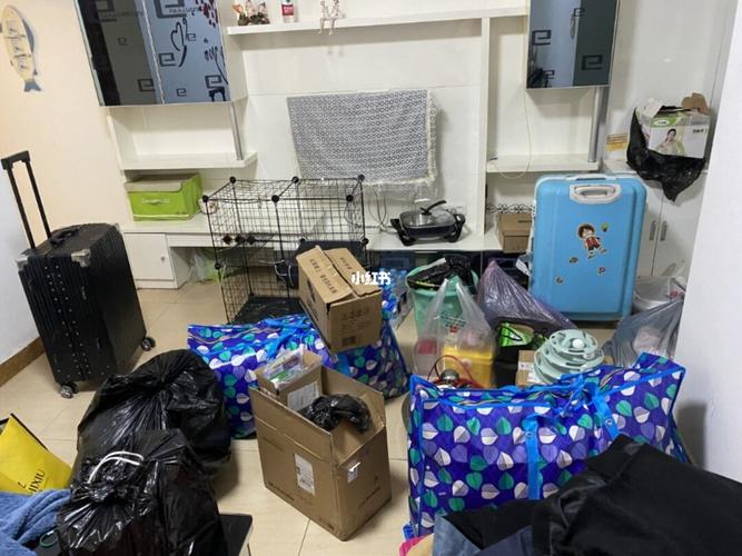 新斗罗大陆古榕搭配