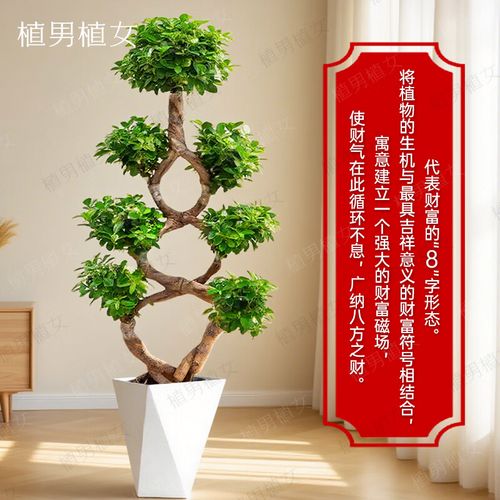 武汉装修公司电话大全 武汉装修公司电话大全